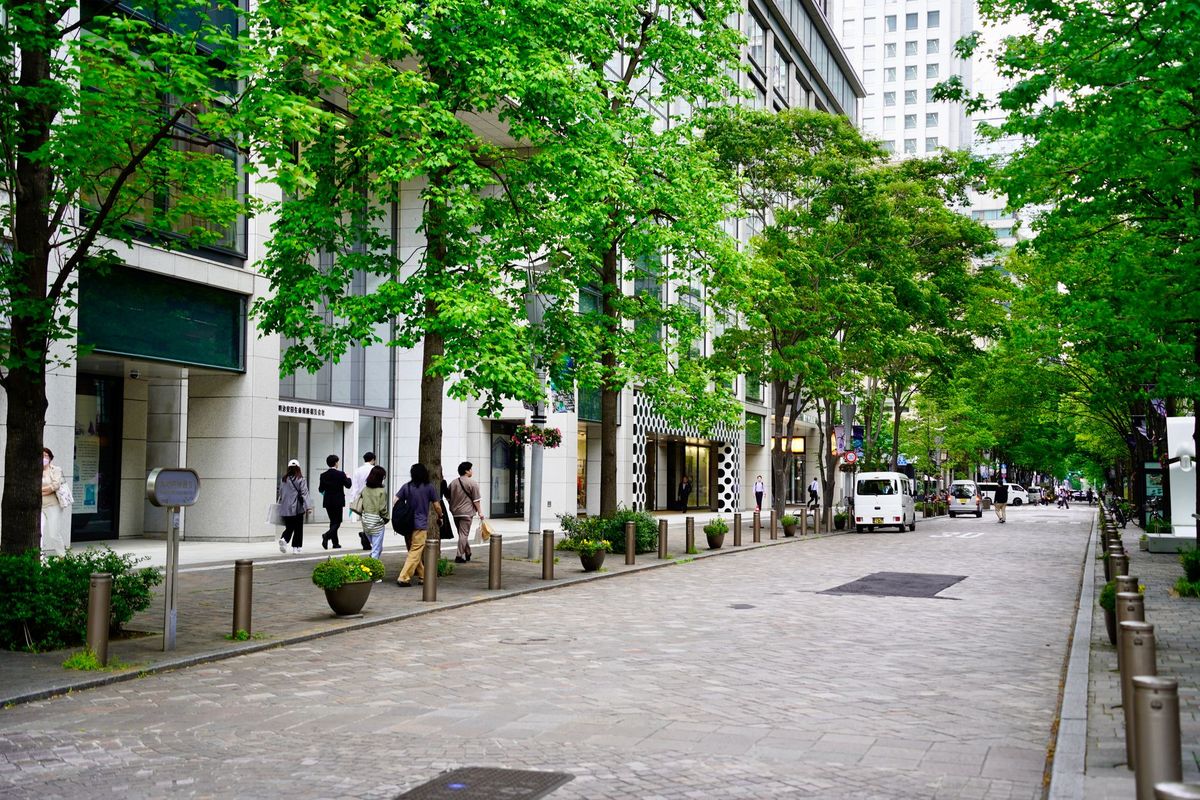 Foreign buyer reviewing FIRB property application documents in Australia